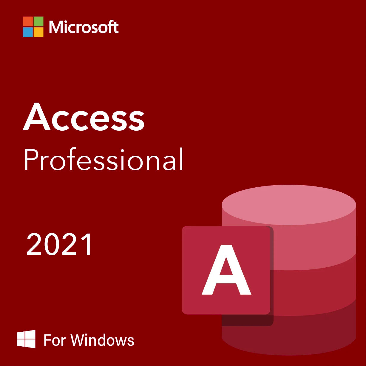 Microsoft Access 2021 Professional - License for 1PC