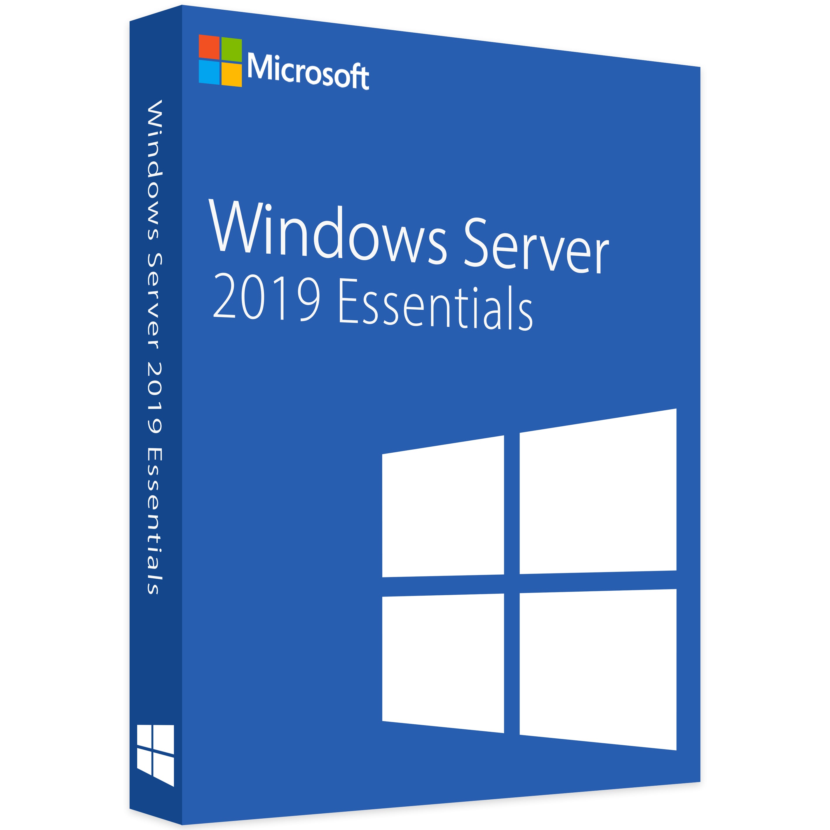 Microsoft Windows Server 2019 Essentials - Lifetime License 1PC