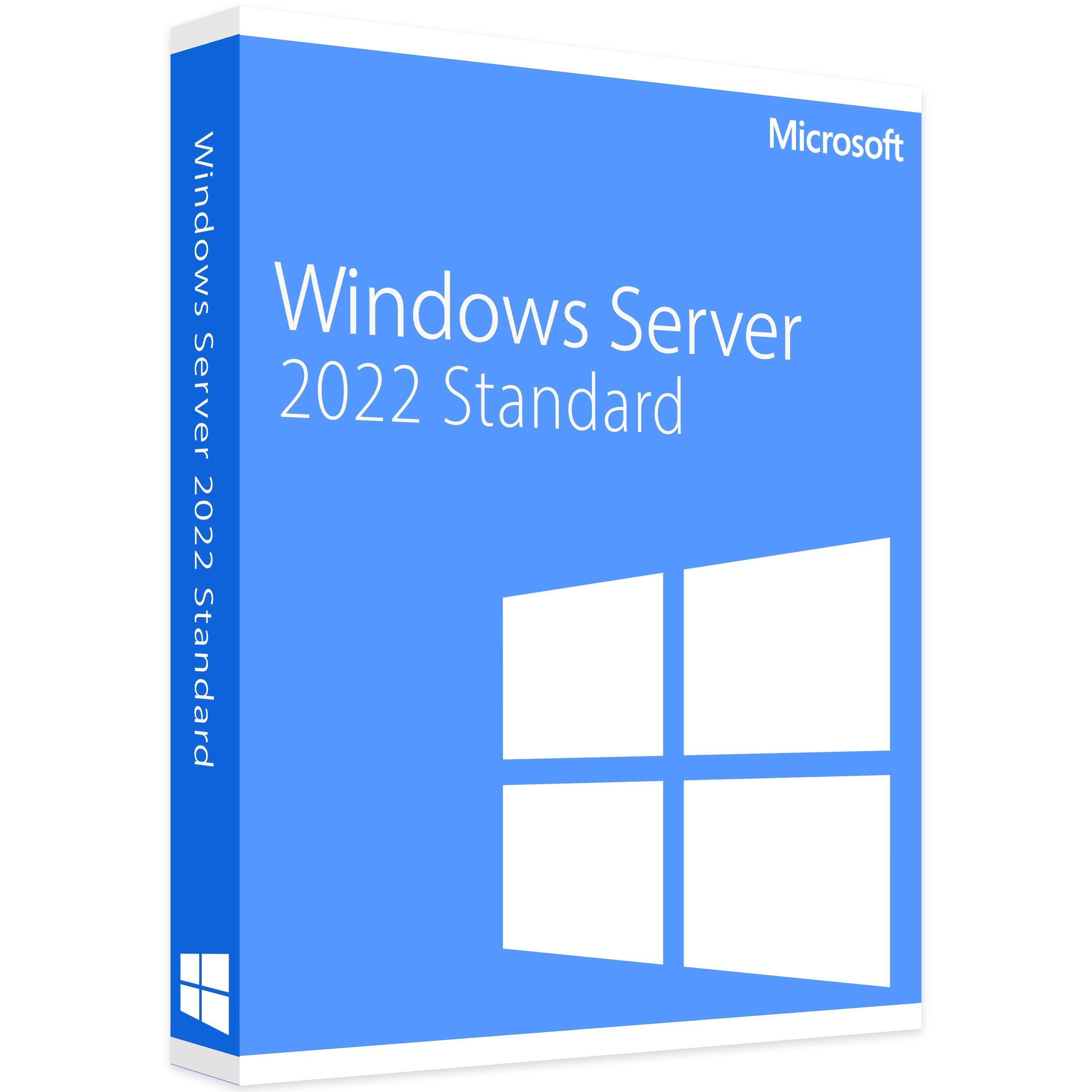 Microsoft Windows Server 2022 Standard - Lifetime license 1PC