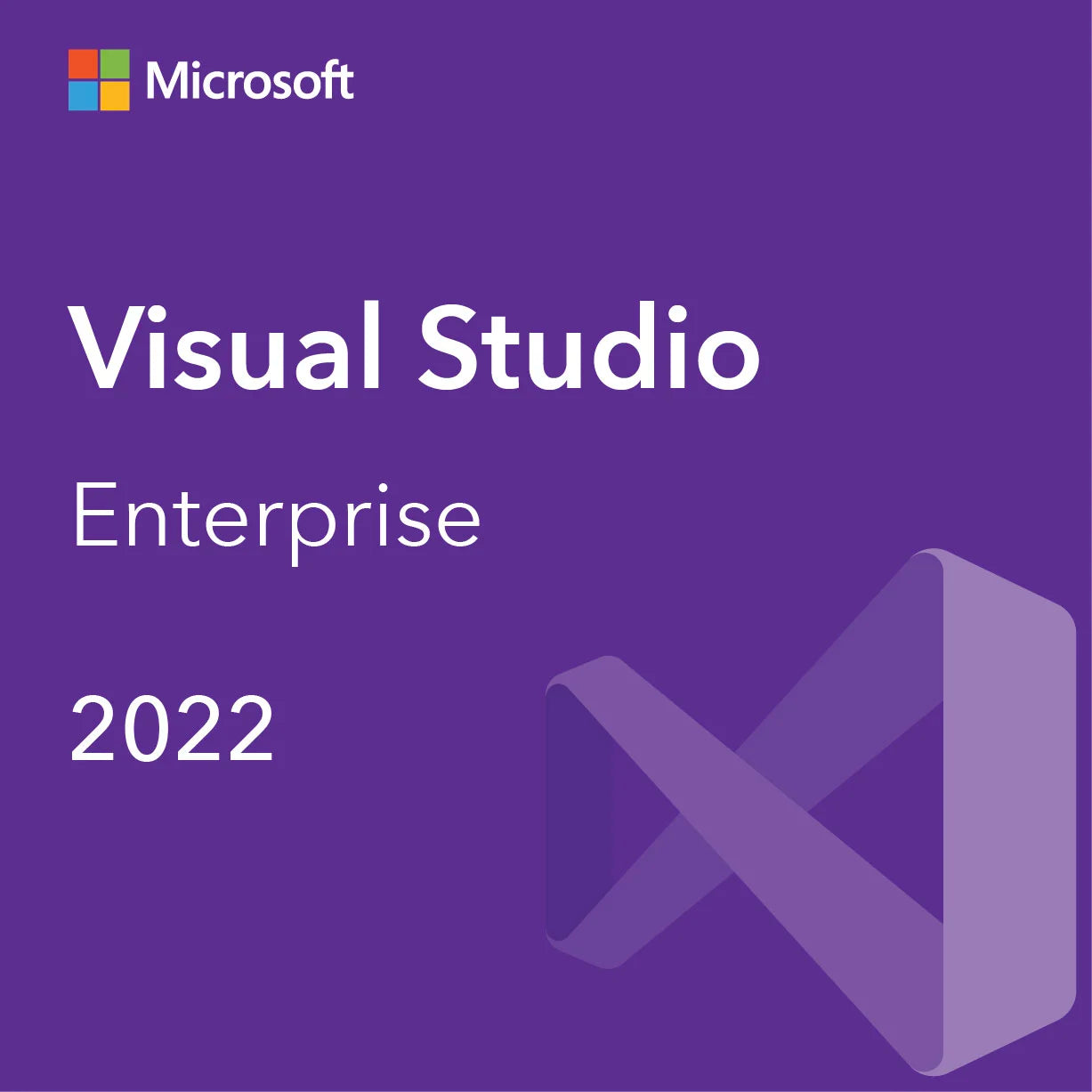 Microsoft Visual Studio 2022 Enterprise - License for 1PC