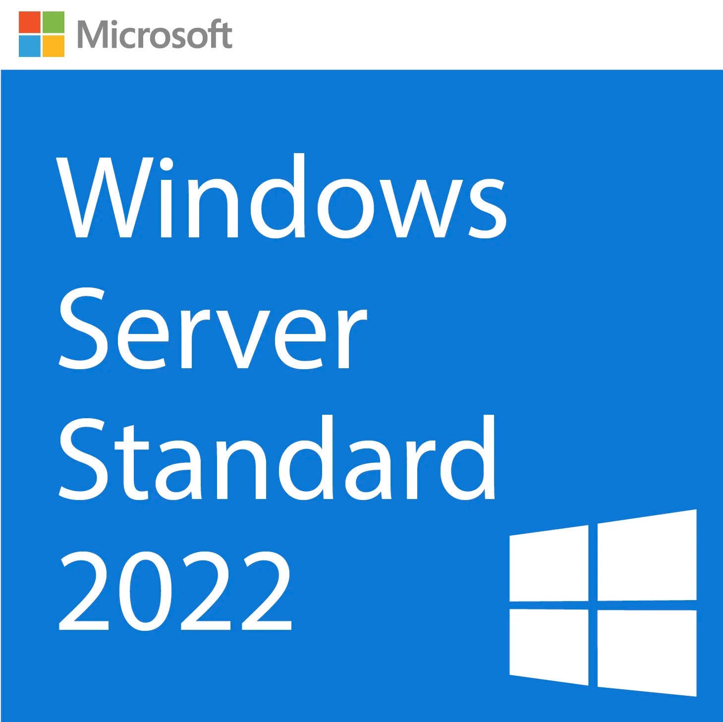 Microsoft Windows Server 2022 Standard - Lifetime license 1PC