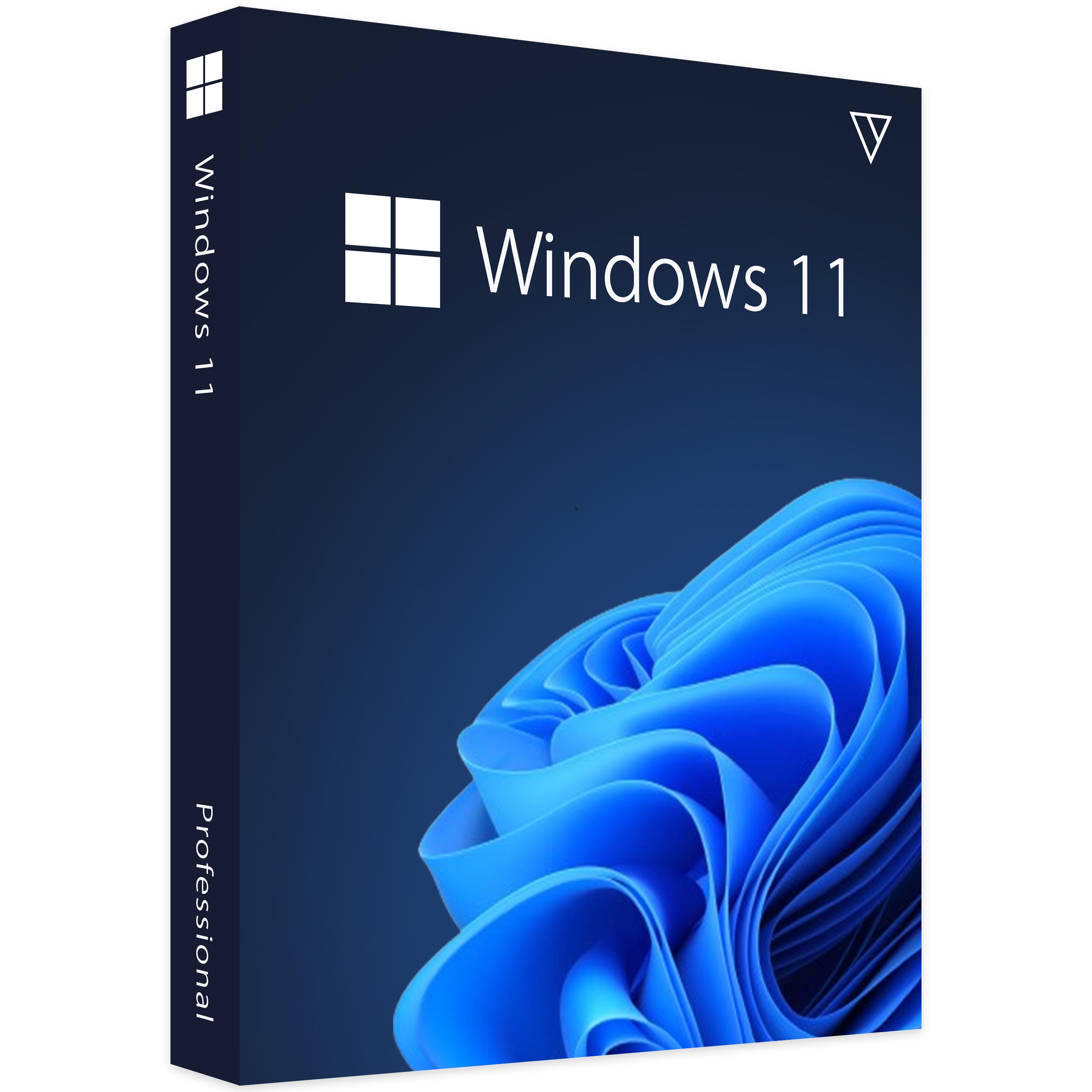 Microsoft Windows 11 Professional 1PC - 32/64 Bit Lifetime License